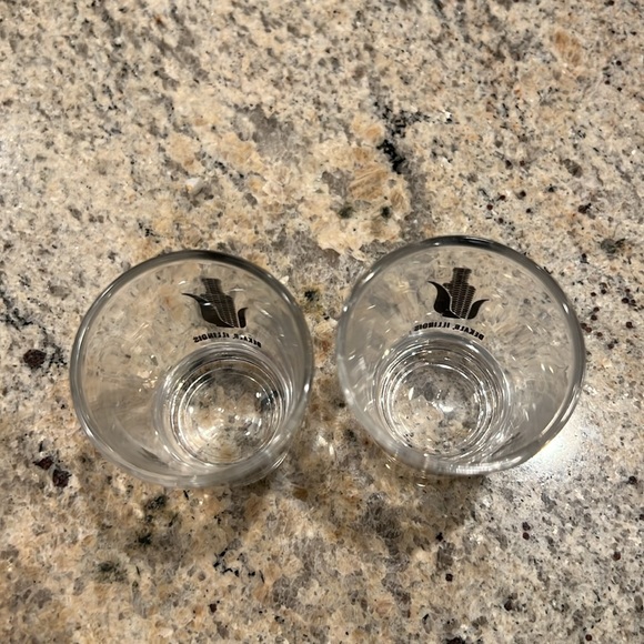 Whiskey Acres Shot Glasses - Picture 5 of 5